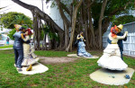 Dansend rond een mooie boom in Key West